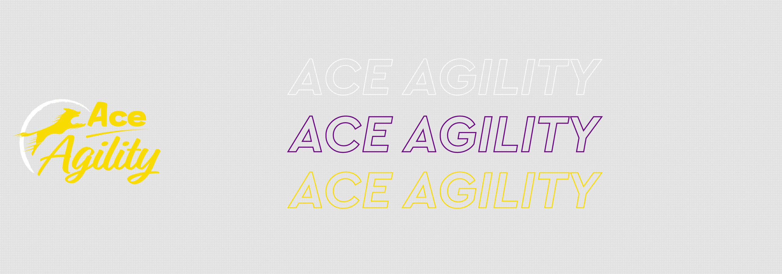 Ace Agility Zip Up Hoodie
