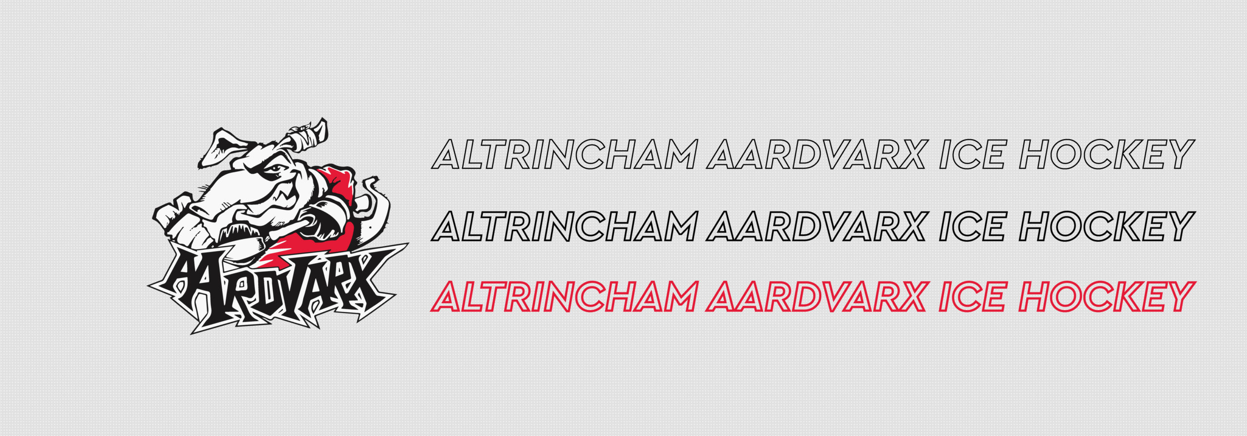 Altrincham Aardvarx Ice Hockey Club