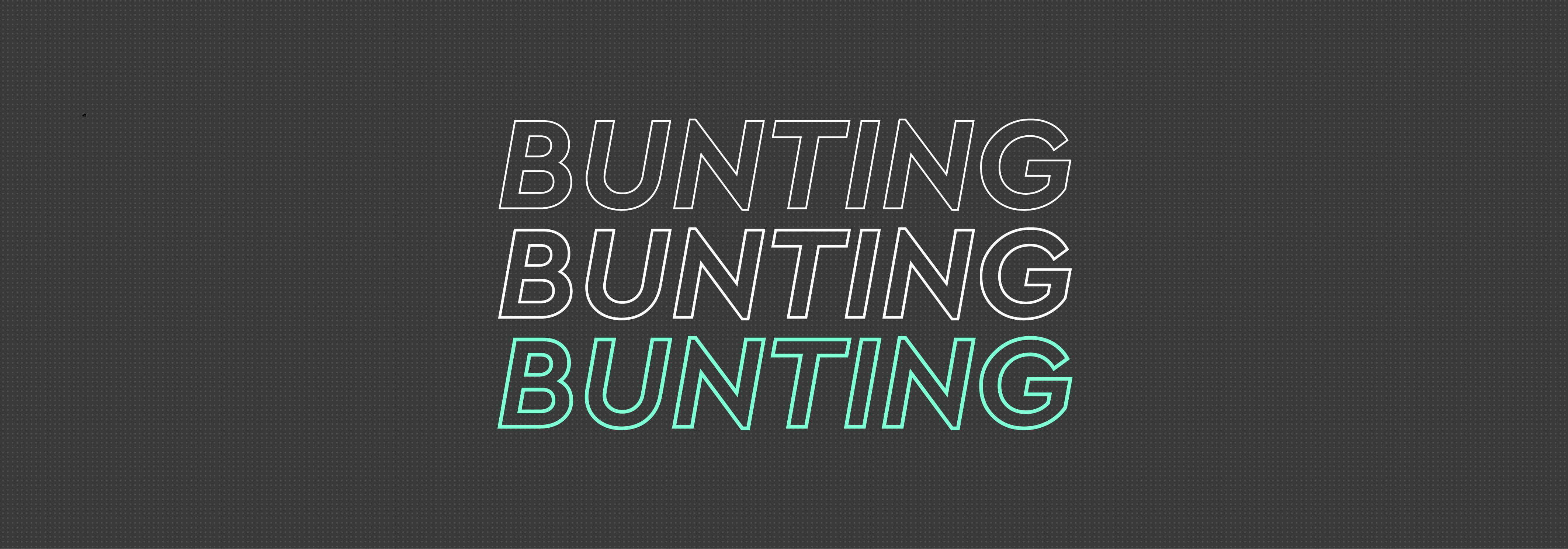 Printed Bunting