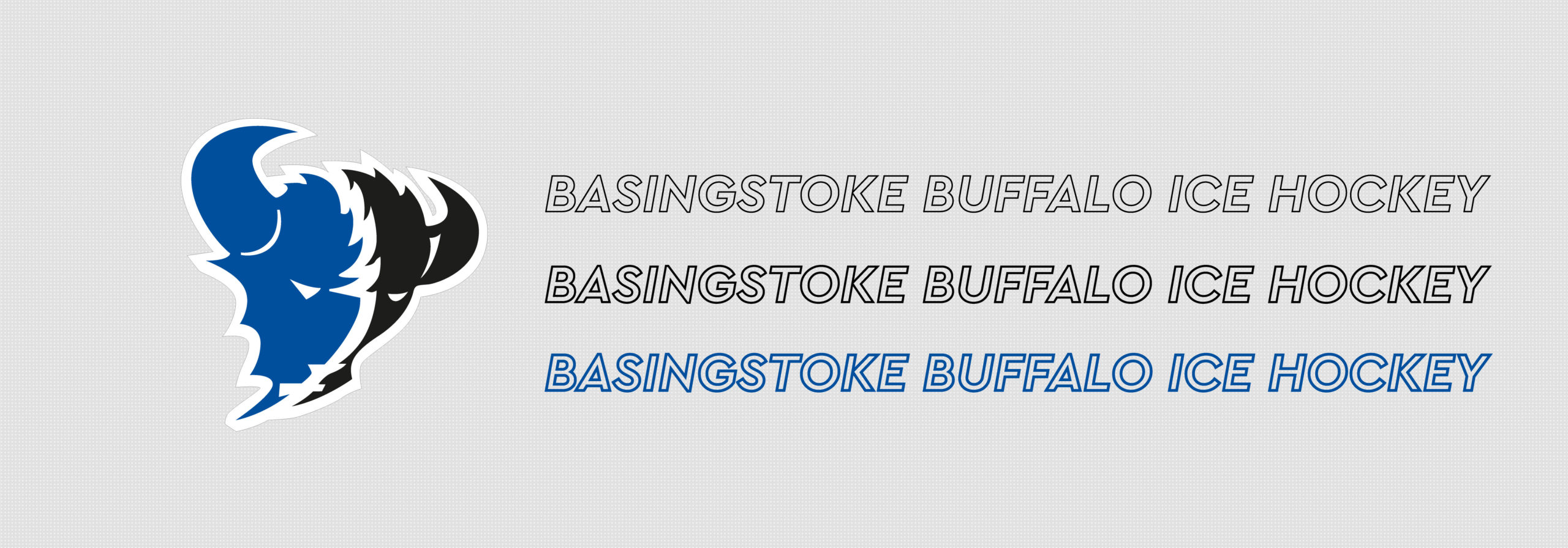 Basingstoke Buffalo Ice Hockey Jersey