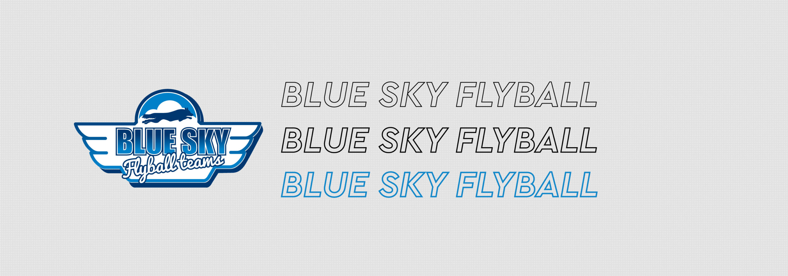 Blue Sky Flyball Unisex Technical T-Shirt