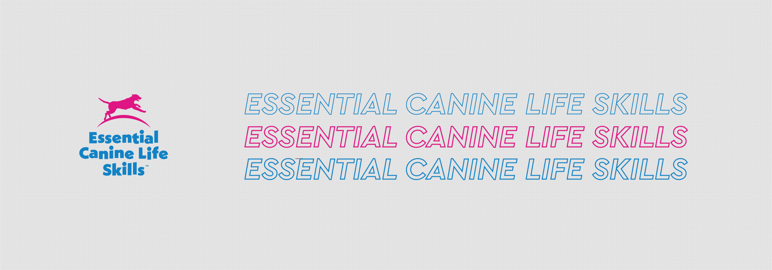 Essential Canine Life Skills