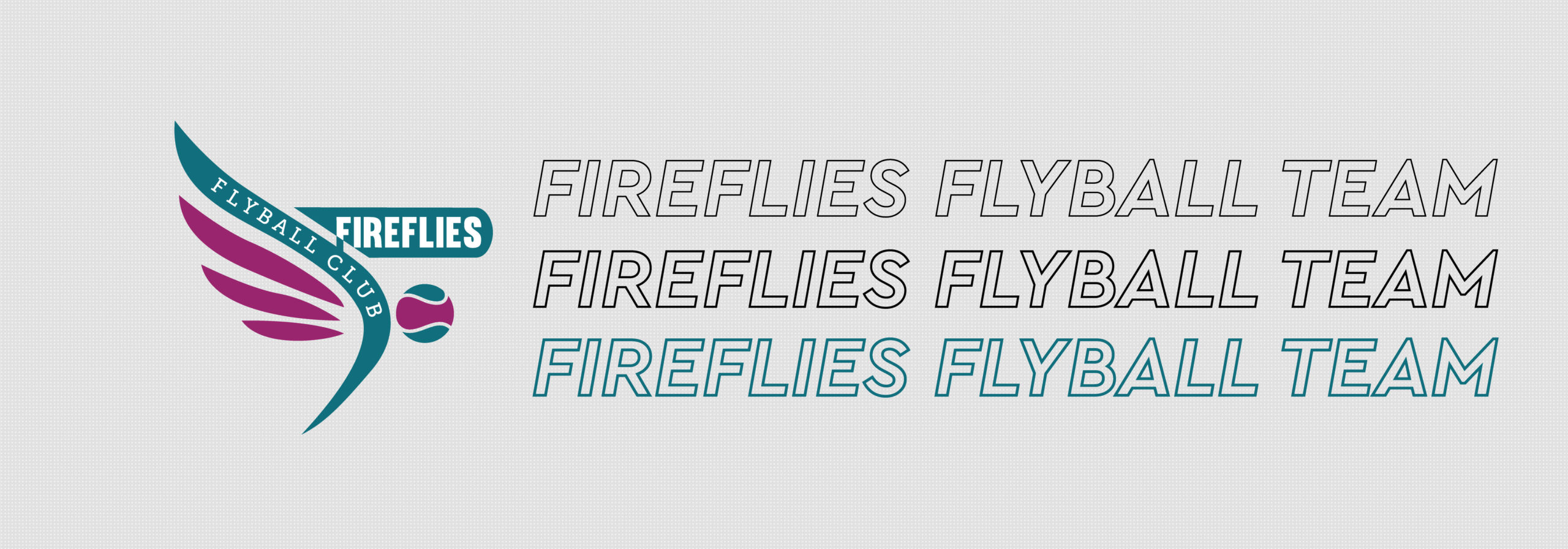 Fireflies Flyball Womens T-Shirt