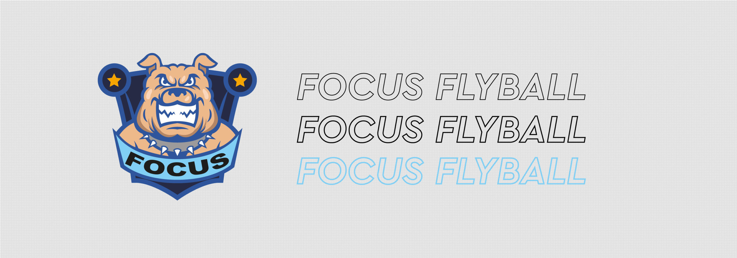 Focus Flyball Team