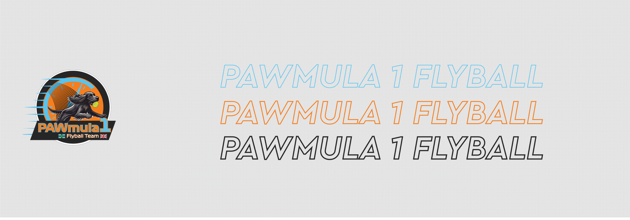 PAWmula 1 Flyball Pullover Hoodie
