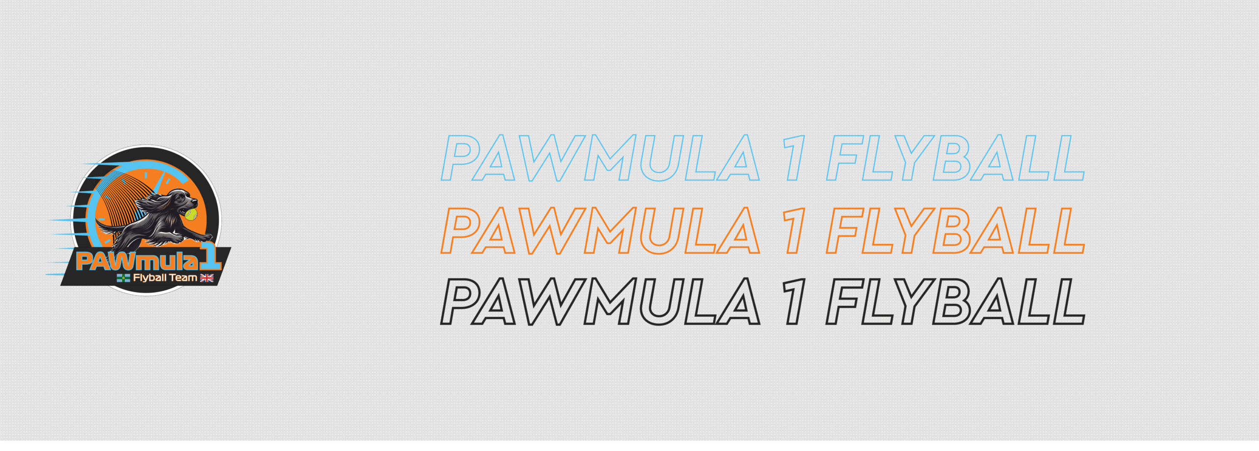 Pawmula 1 Flyball Team