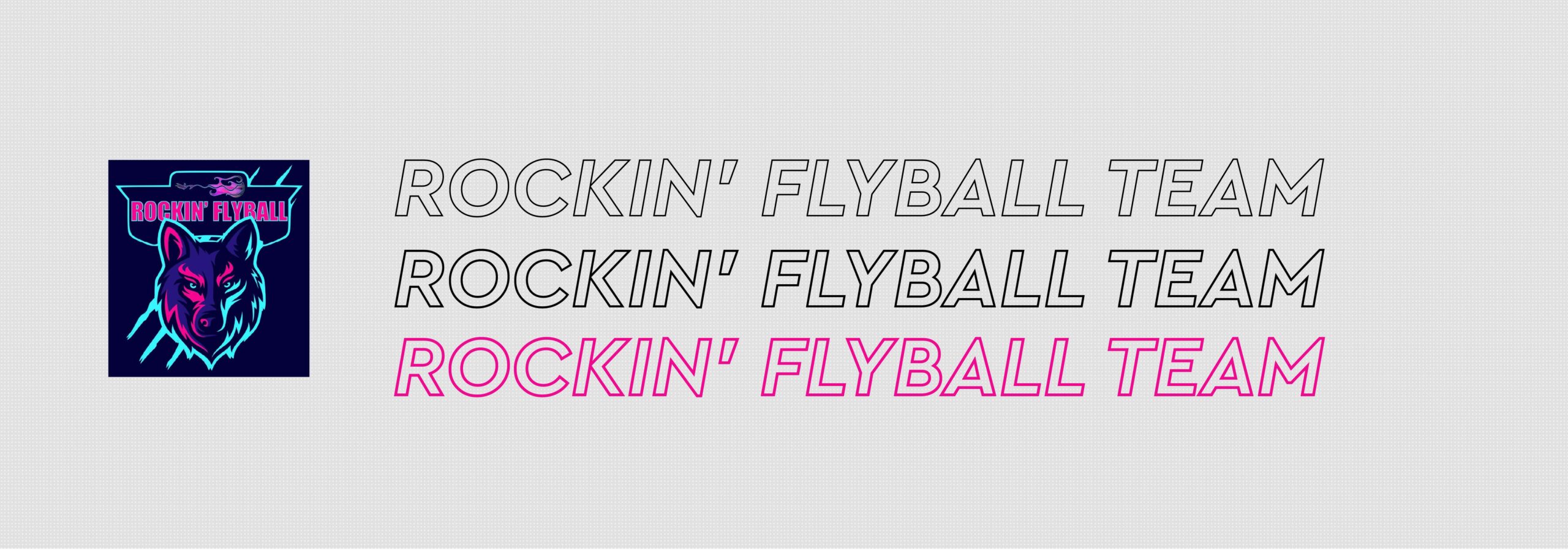 Rockin' Flyball