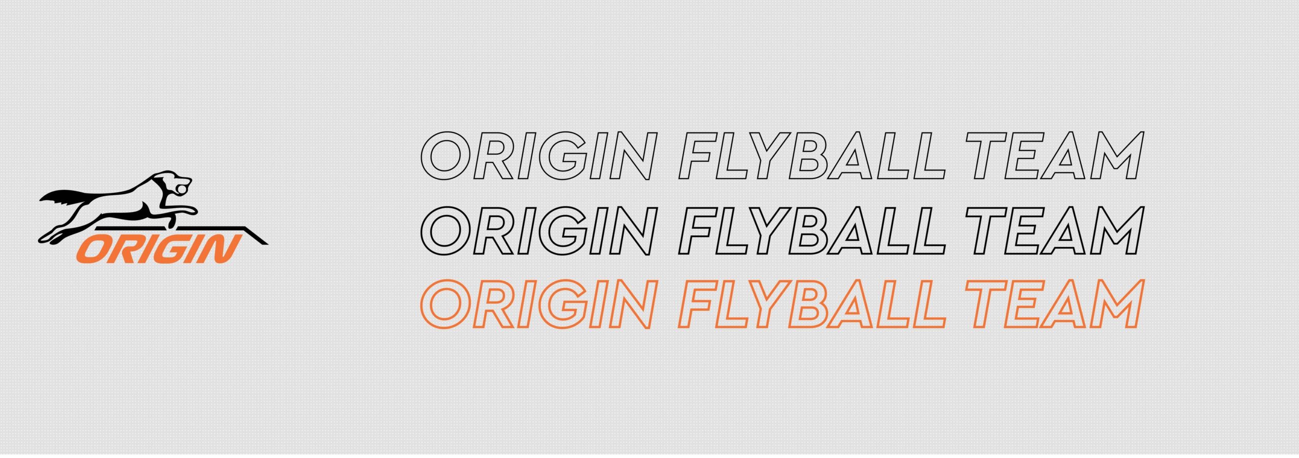 Origin Flyball Unisex Vest