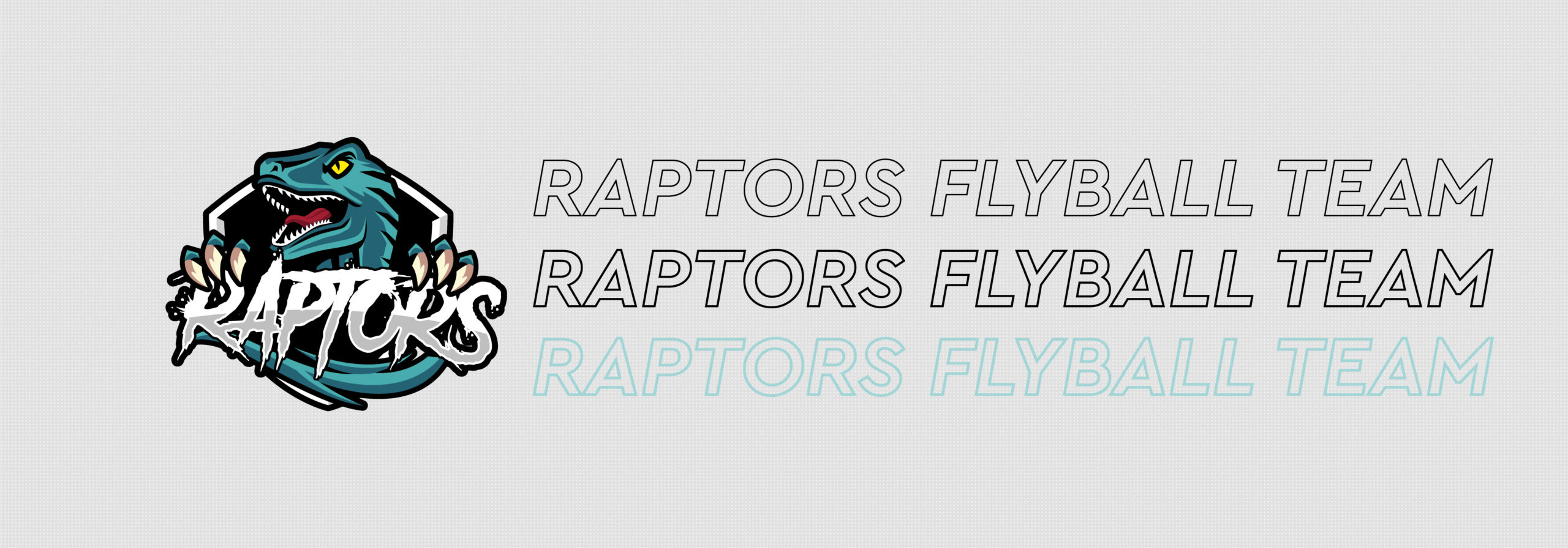 Raptors Flyball Team