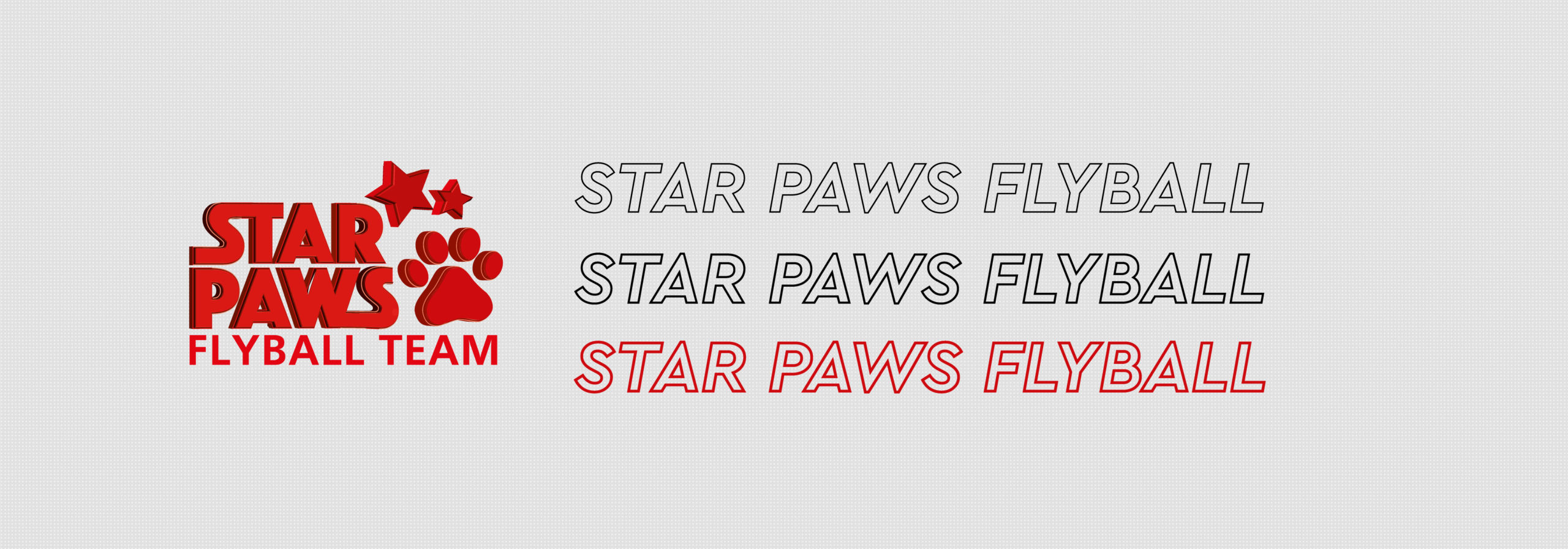 Star Paws Flyball Team