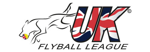 UK Flyball League Zip Up Hoodie (Championships Design)