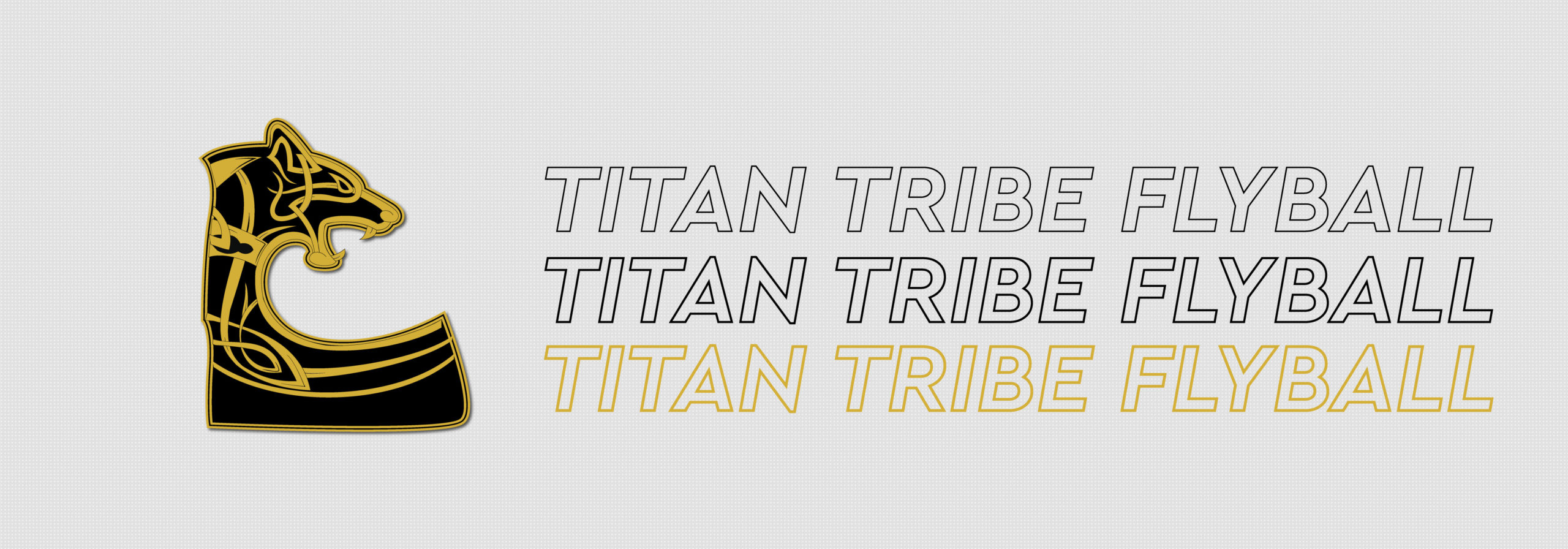 Titan Tribe Flyball Team