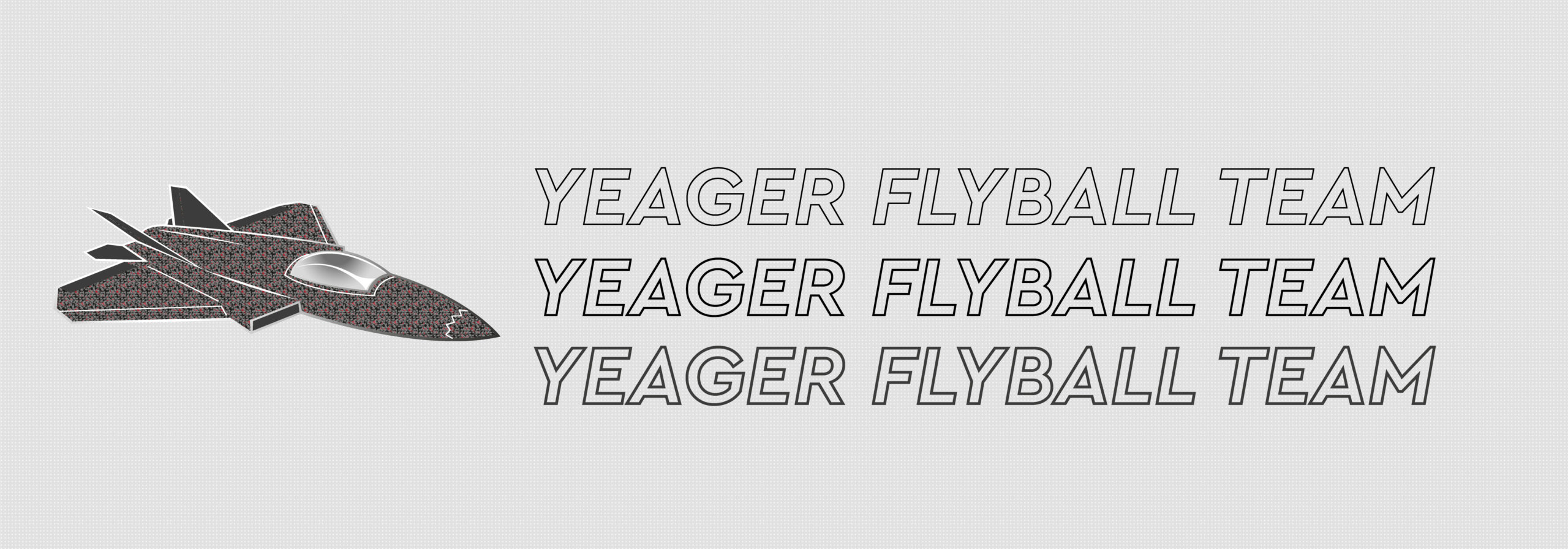 Yeager Flyball Team